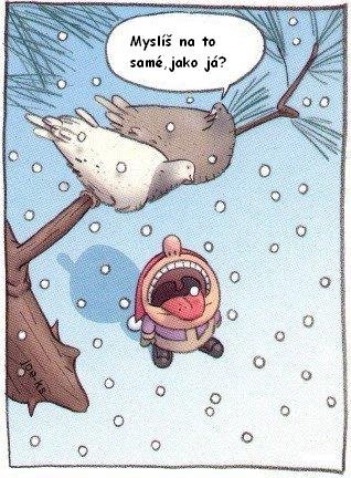 gfhfghdf.jpg
